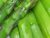asparagus-boiled-2
