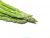 asparagus-raw-1