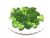 broccoli-inflorescence-boiled-1