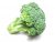 broccoli-inflorescence-raw-1