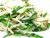 chinese-chive-leaves-sauteed-1